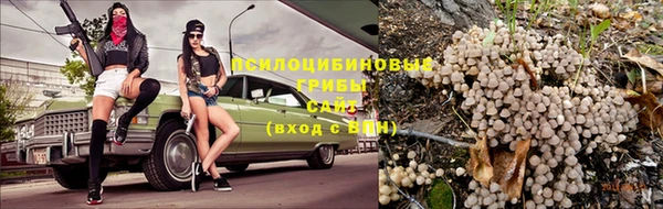 каннабис Алексеевка