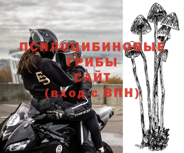 мяу мяу мука Алзамай