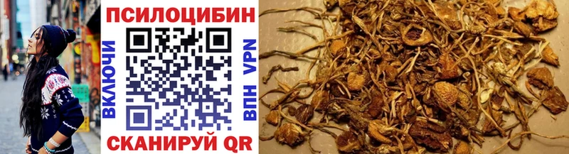 Галлюциногенные грибы Magic Shrooms  Пучеж 